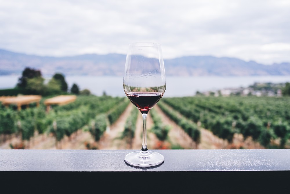 Séminaire entreprise route des vins