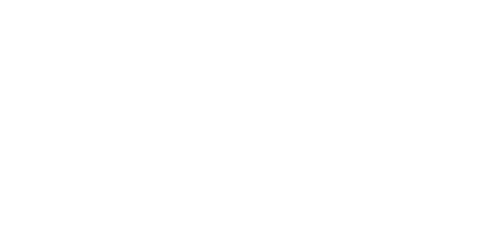 adone-conseil-logo